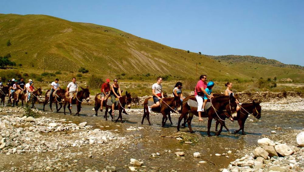 Village Culture Night & Donkey Riding For a Taste of Cyprus